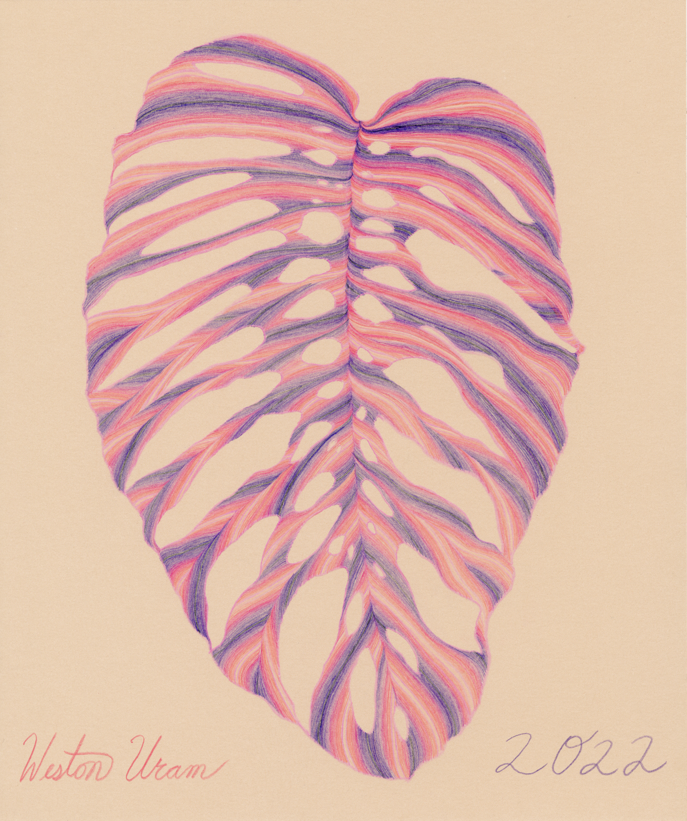 Large Monstera (Sunsets, Purple & Pink)